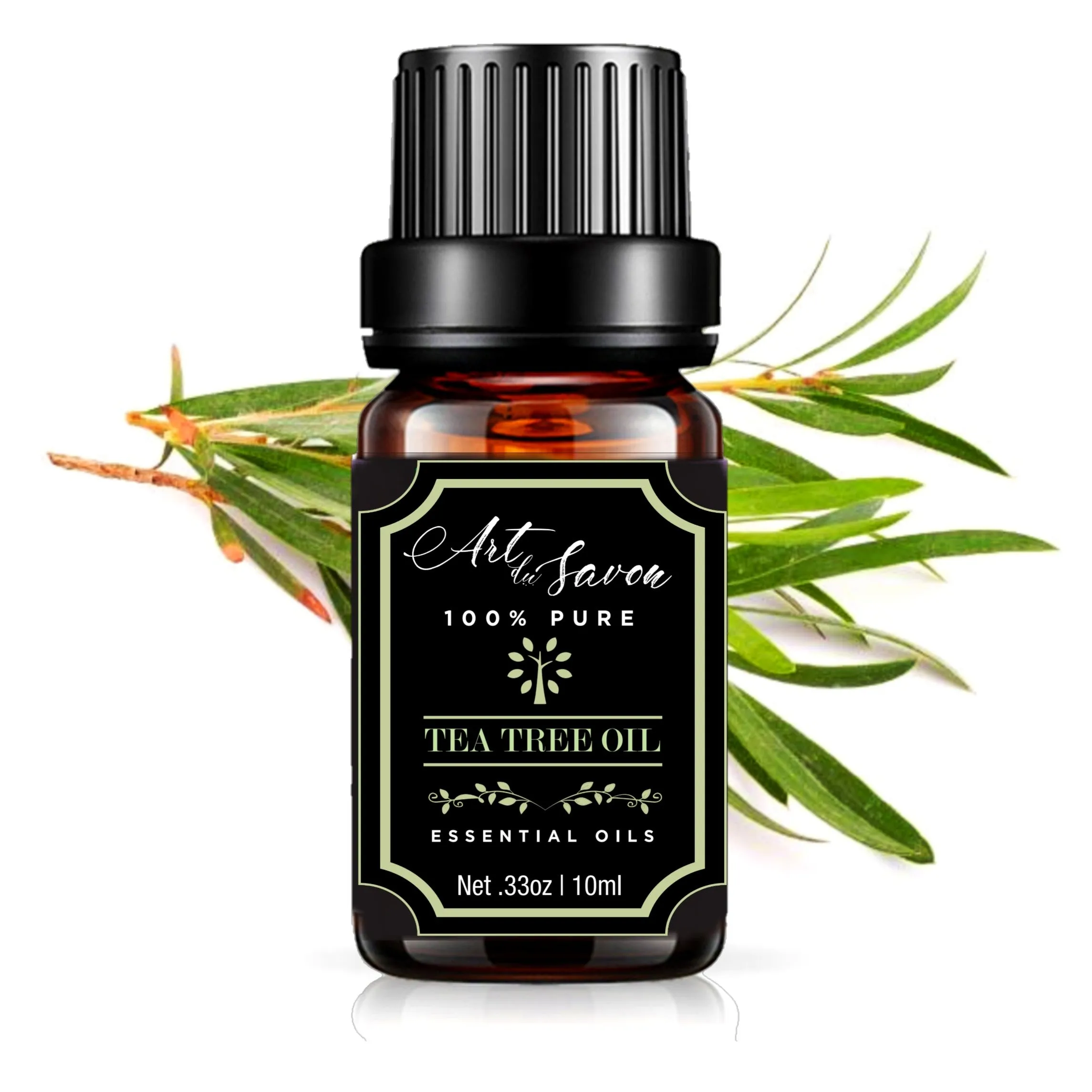 6pc Essential Oils Set | Wellness