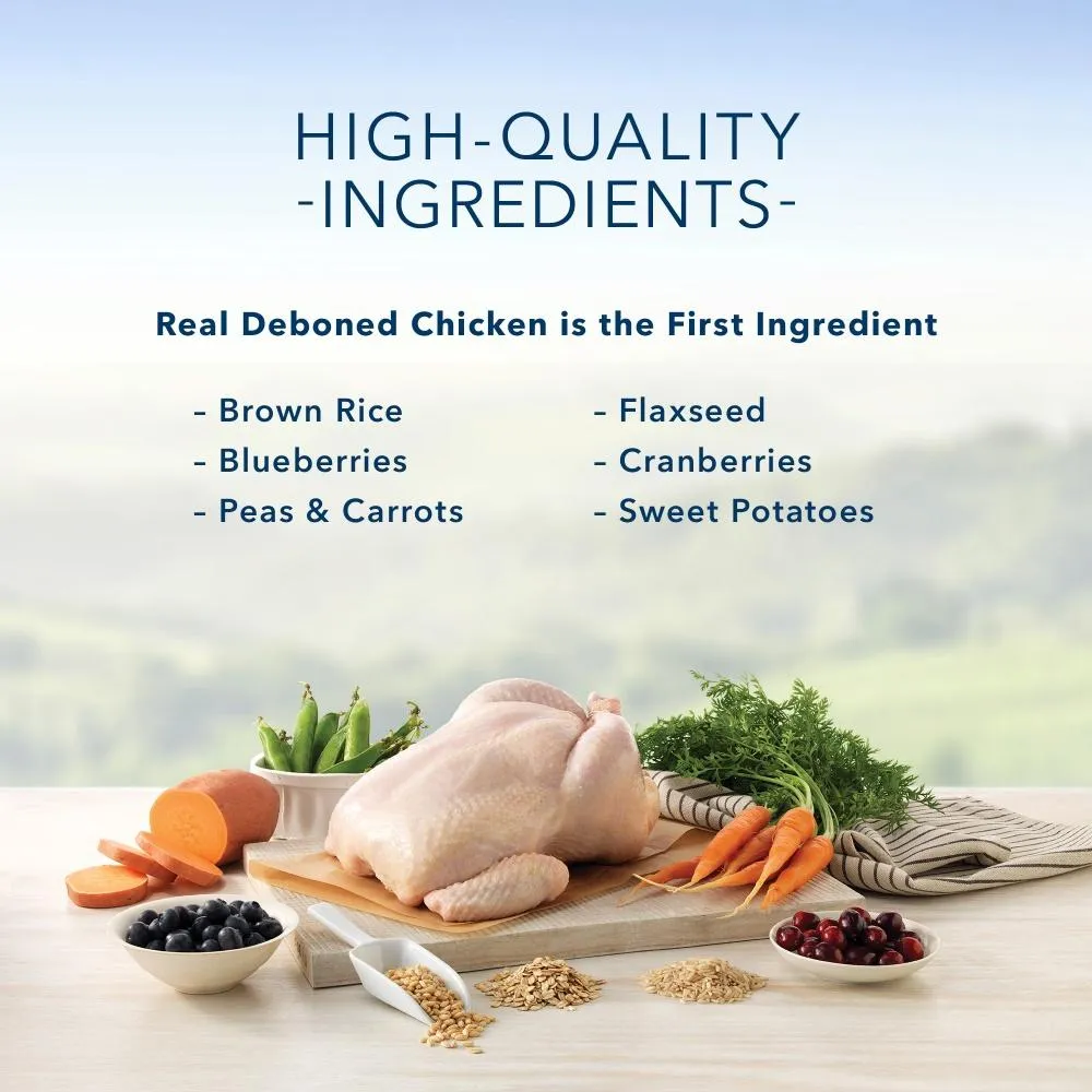 Blue Buffalo Life Protection Chicken & Brown Rice Recipe Puppy Dry Dog Food