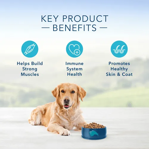 BLUE Life Protection Formula Lamb & Brown Rice Recipe Dry Dog Food