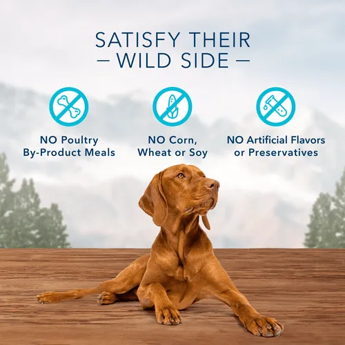 BLUE Wilderness Trail Treats Grain Free Biscuits; Duck Recipe