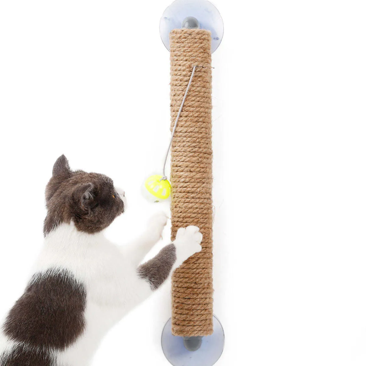 Cat scratcher Playtime