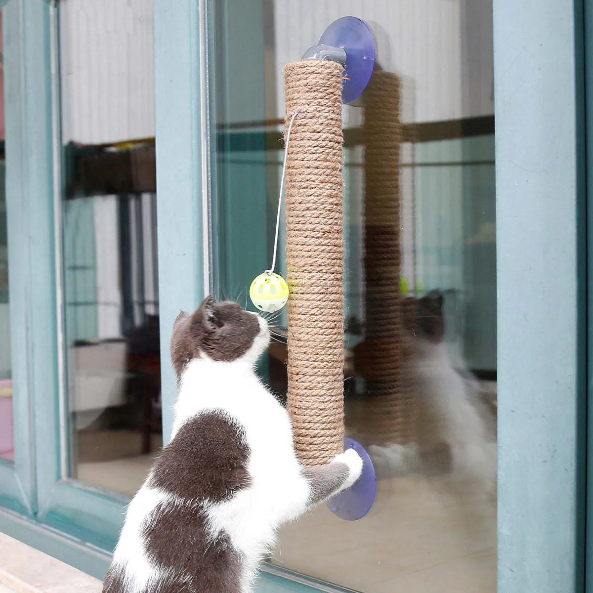 Cat scratcher Playtime