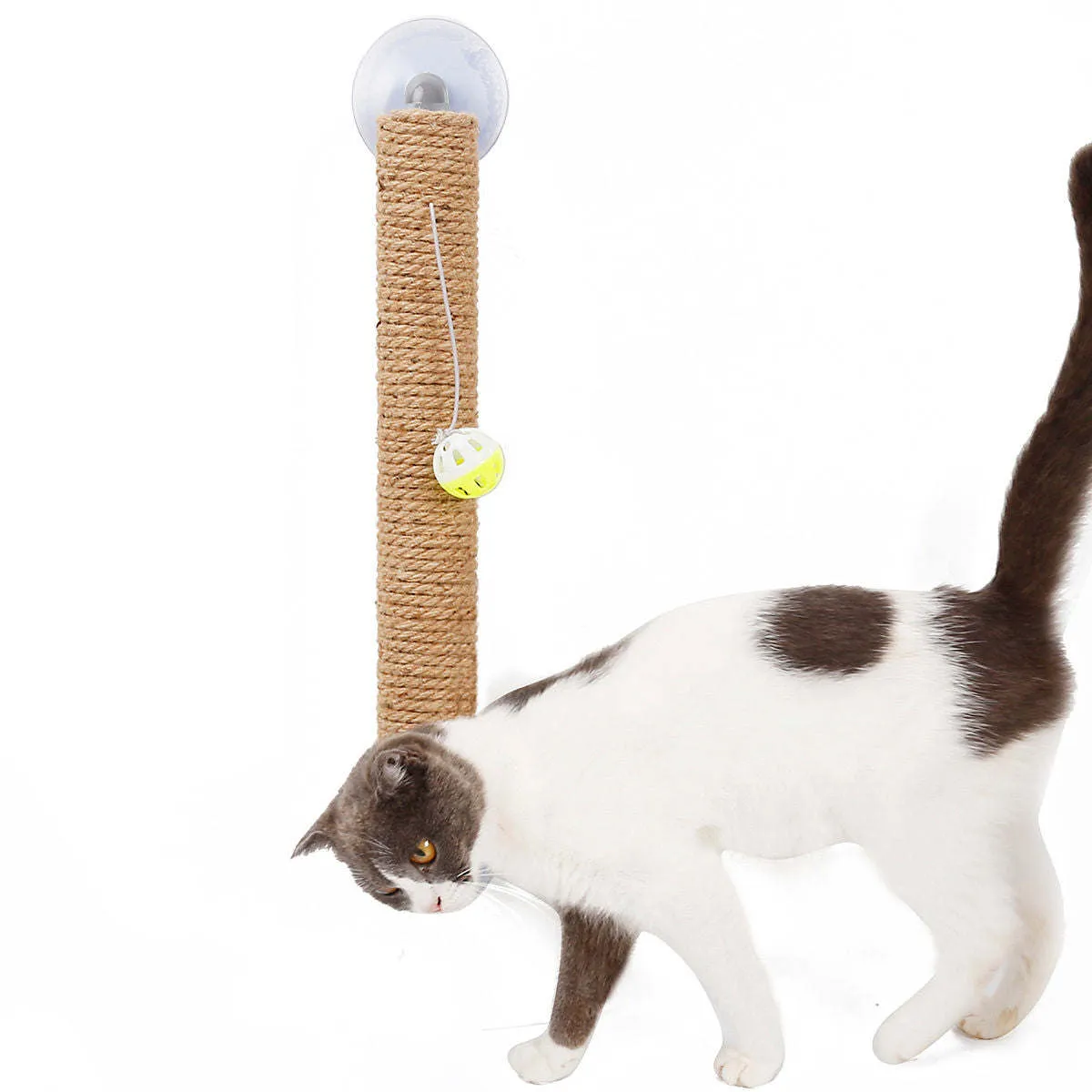 Cat scratcher Playtime