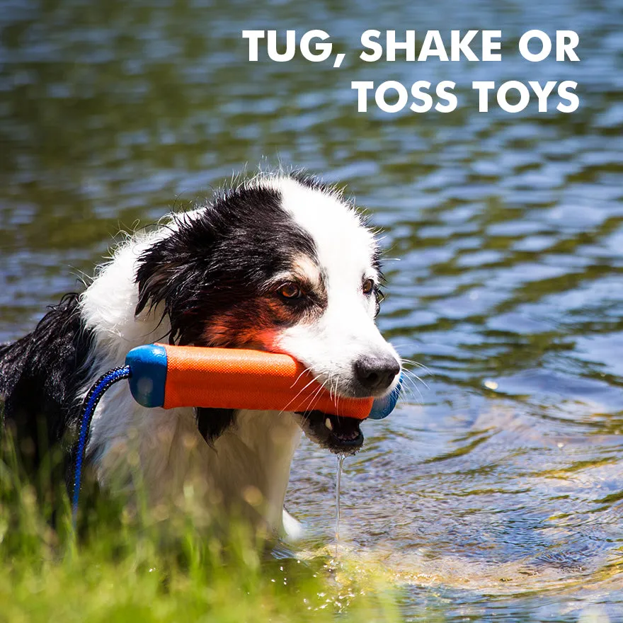 Chuckit Amphibious Bumper