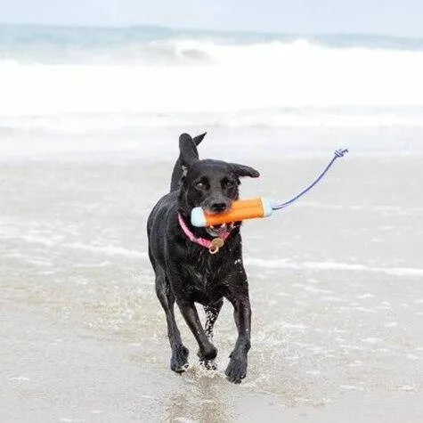 Chuckit Amphibious Bumper