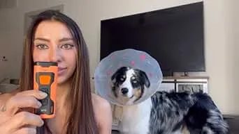 Dog Bark Deterrent Device