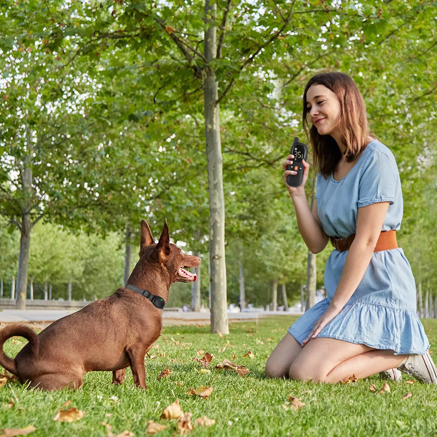 Dog Training Collar with Remote 2624FT 3 Modes Beep Shock Vibration Electric Rechargeable Correction Device IP67 Waterproof Transmitter Receiver for dogs 5lbs-132lbs