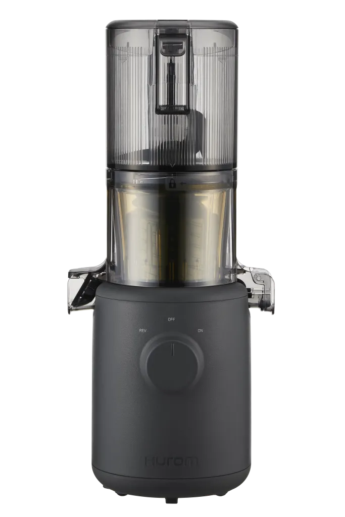 H310 Easy Clean Slow Juicer