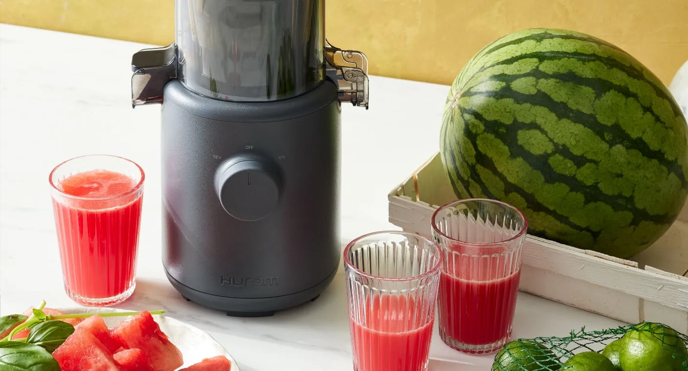 H310 Easy Clean Slow Juicer