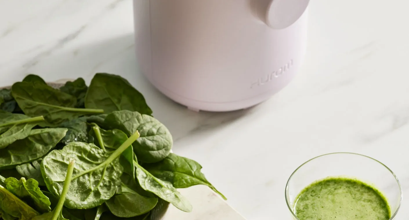 H310 Easy Clean Slow Juicer