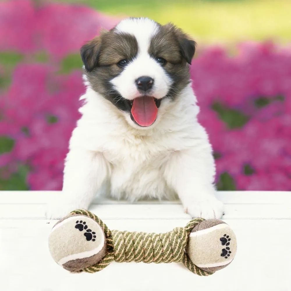 Interactive Cotton-Poly Tug Toy