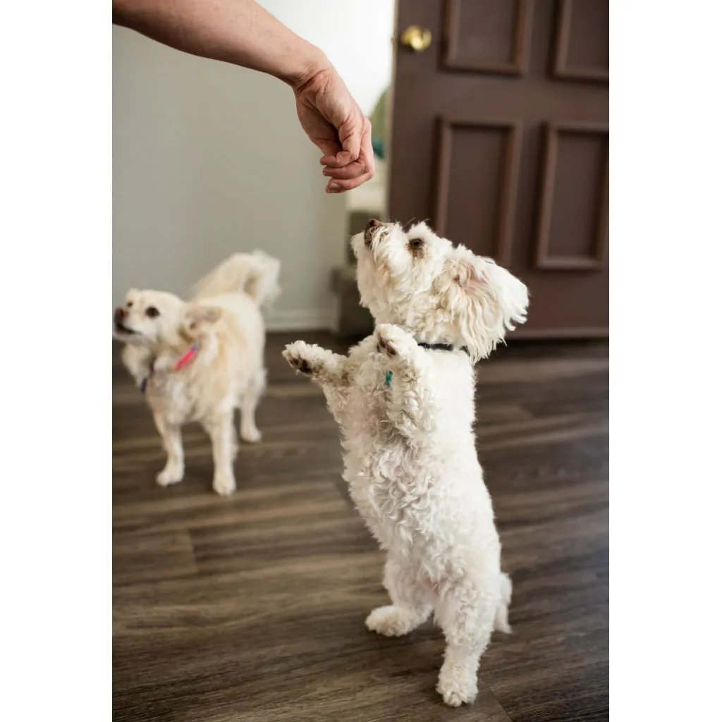 Loving Pets Houndations Salmon Flavor Dog Training Treats (4oz)