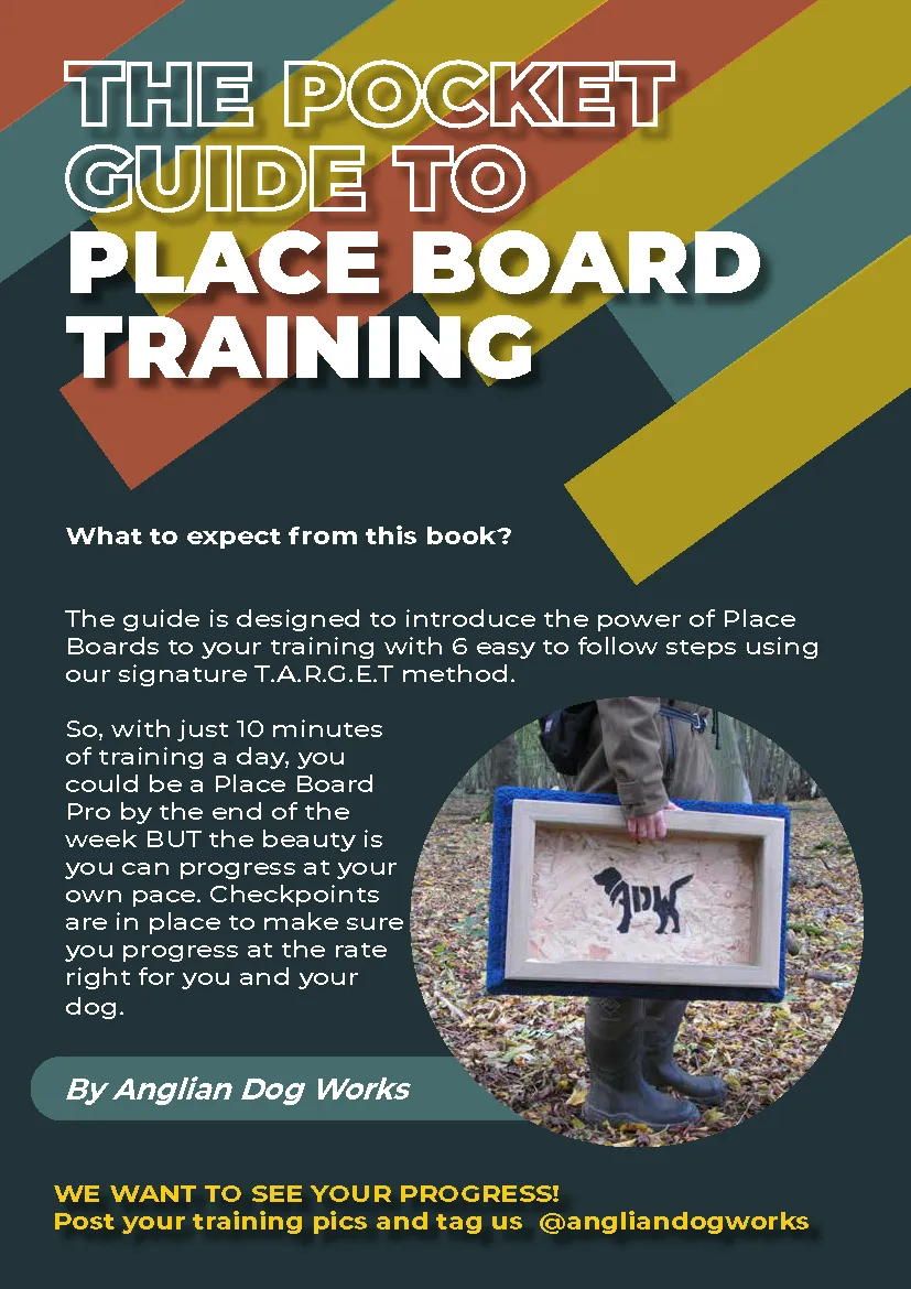 Place Board Training eBook