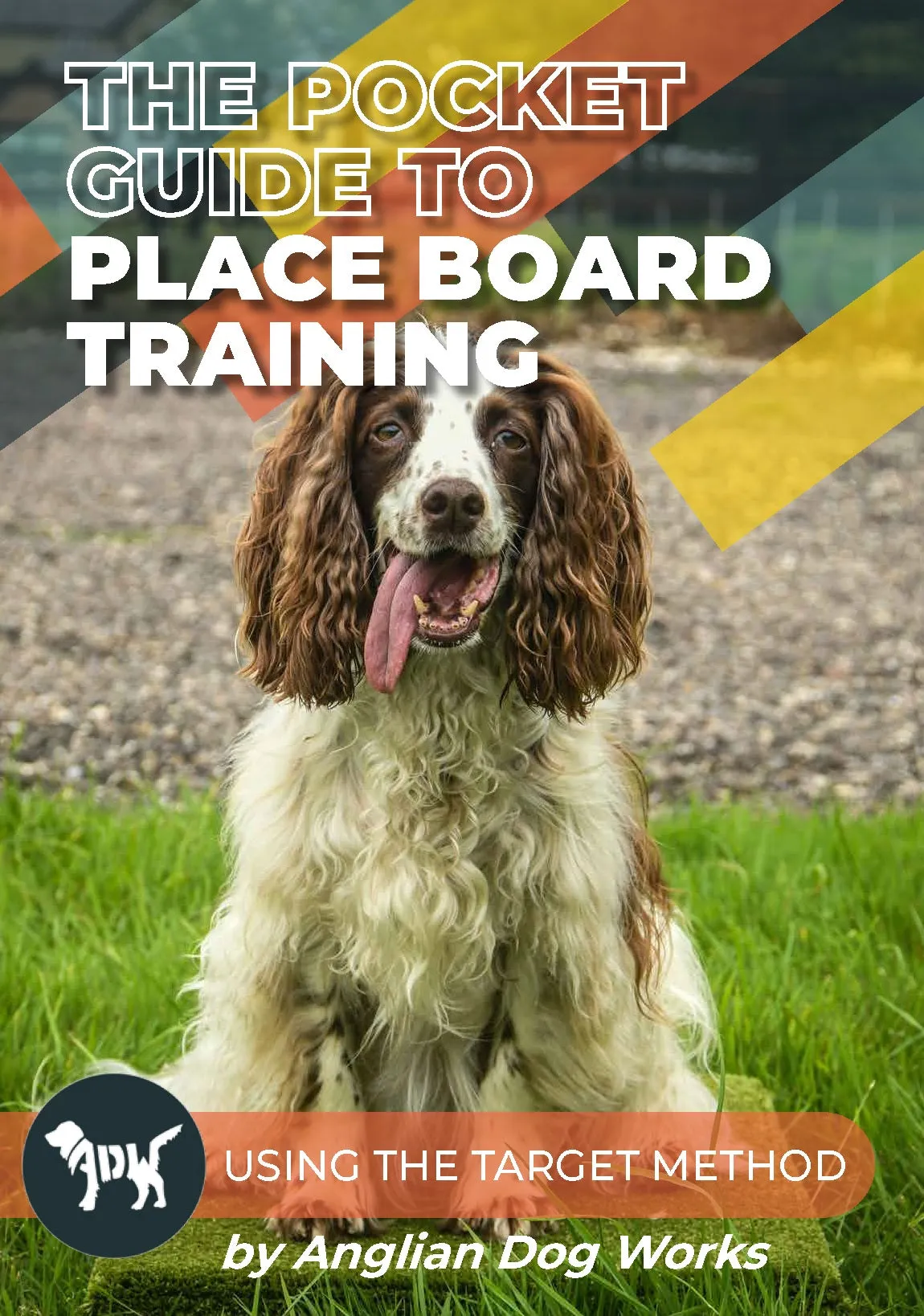 Place Board Training eBook