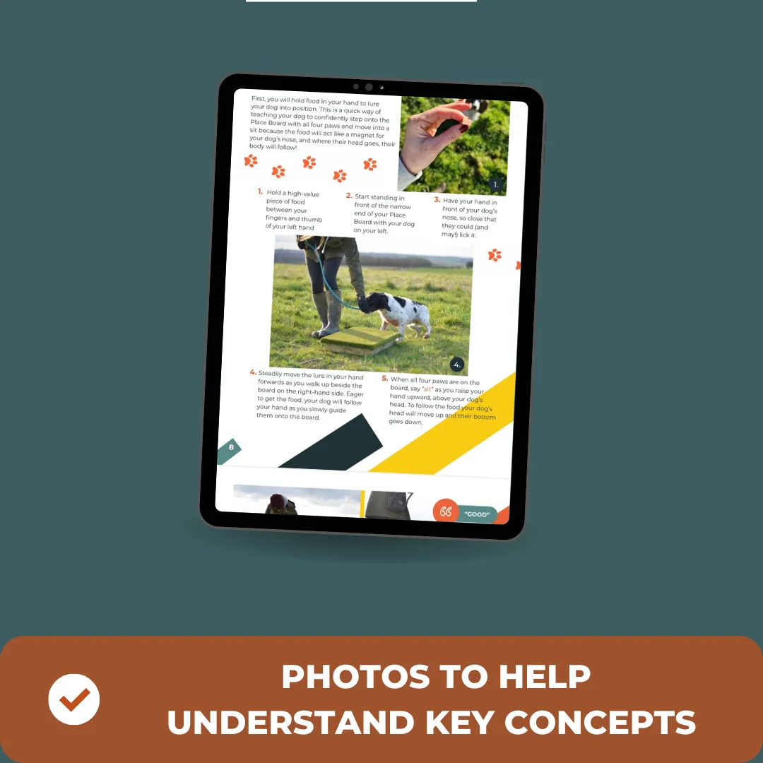 Place Board Training eBook