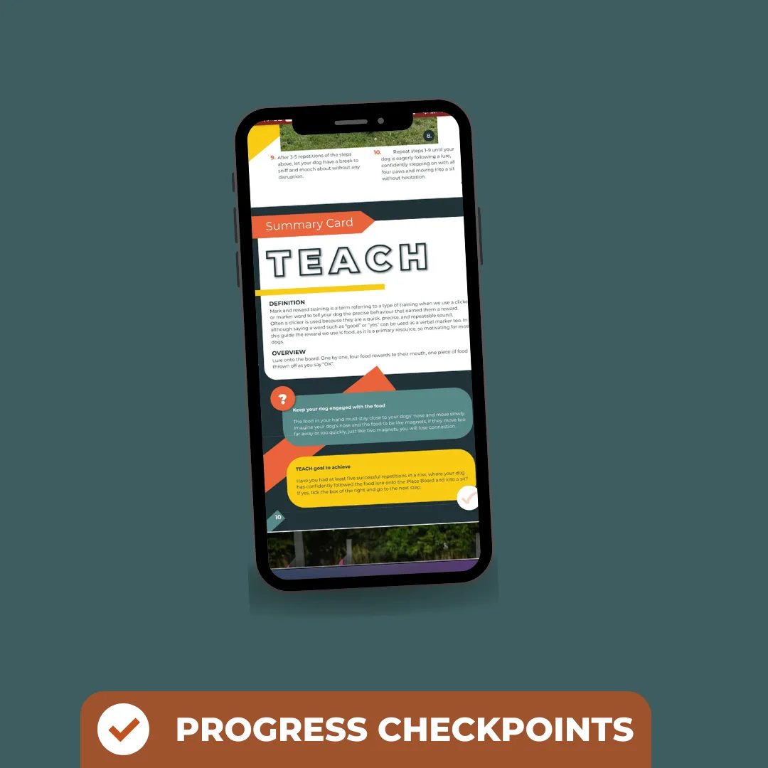 Place Board Training eBook