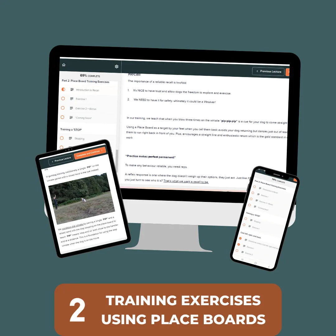 Place Board Training Online Course