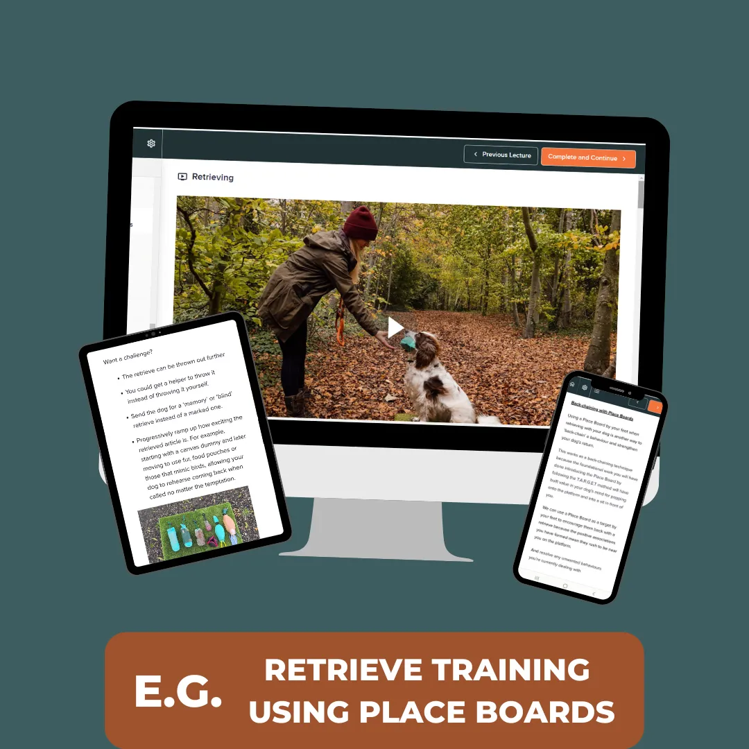 Place Board Training Online Course