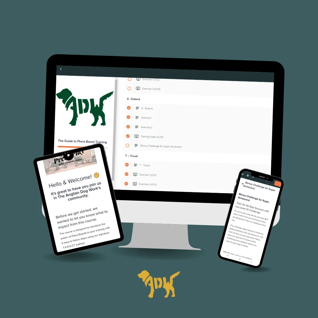 Place Board Training Online Course