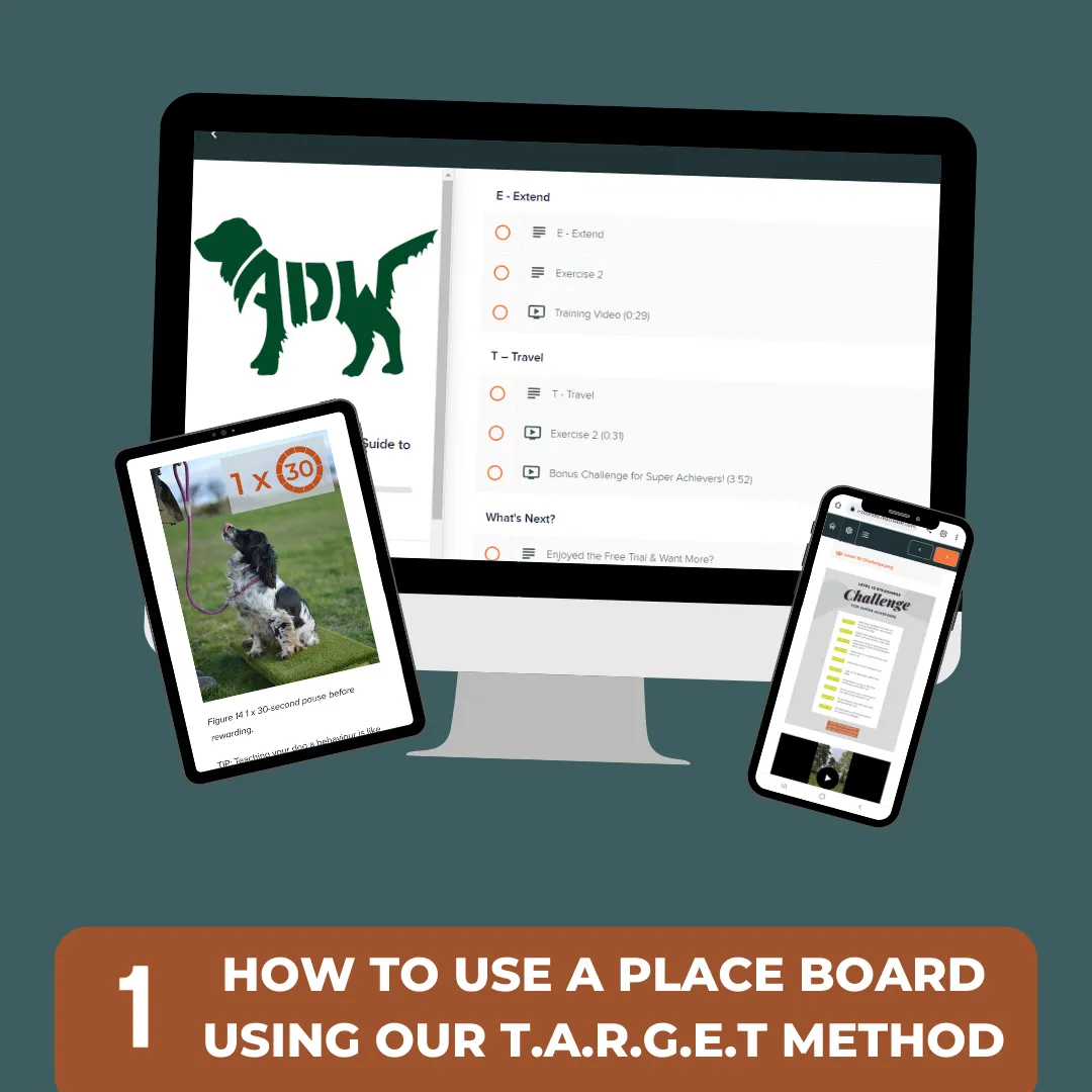Place Board Training Online Course