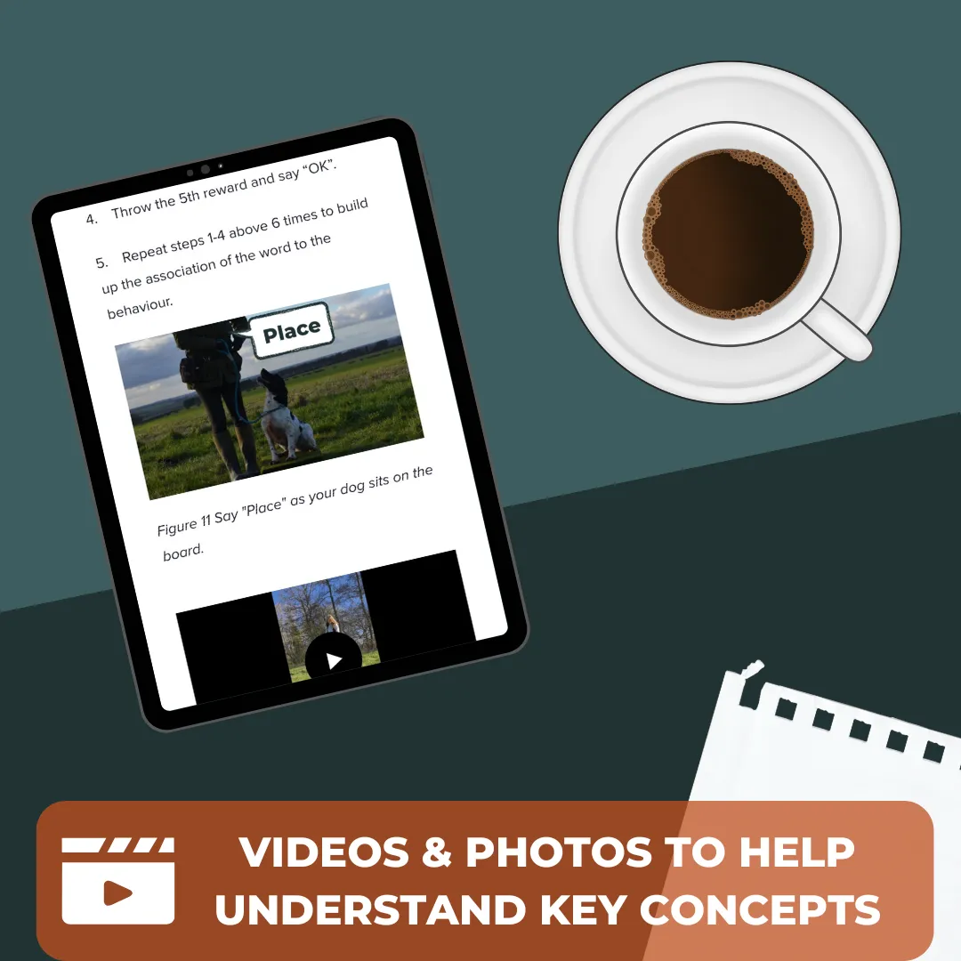 Place Board Training Online Course
