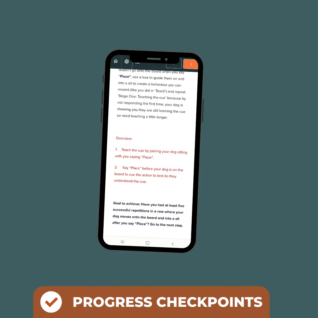 Place Board Training Online Course