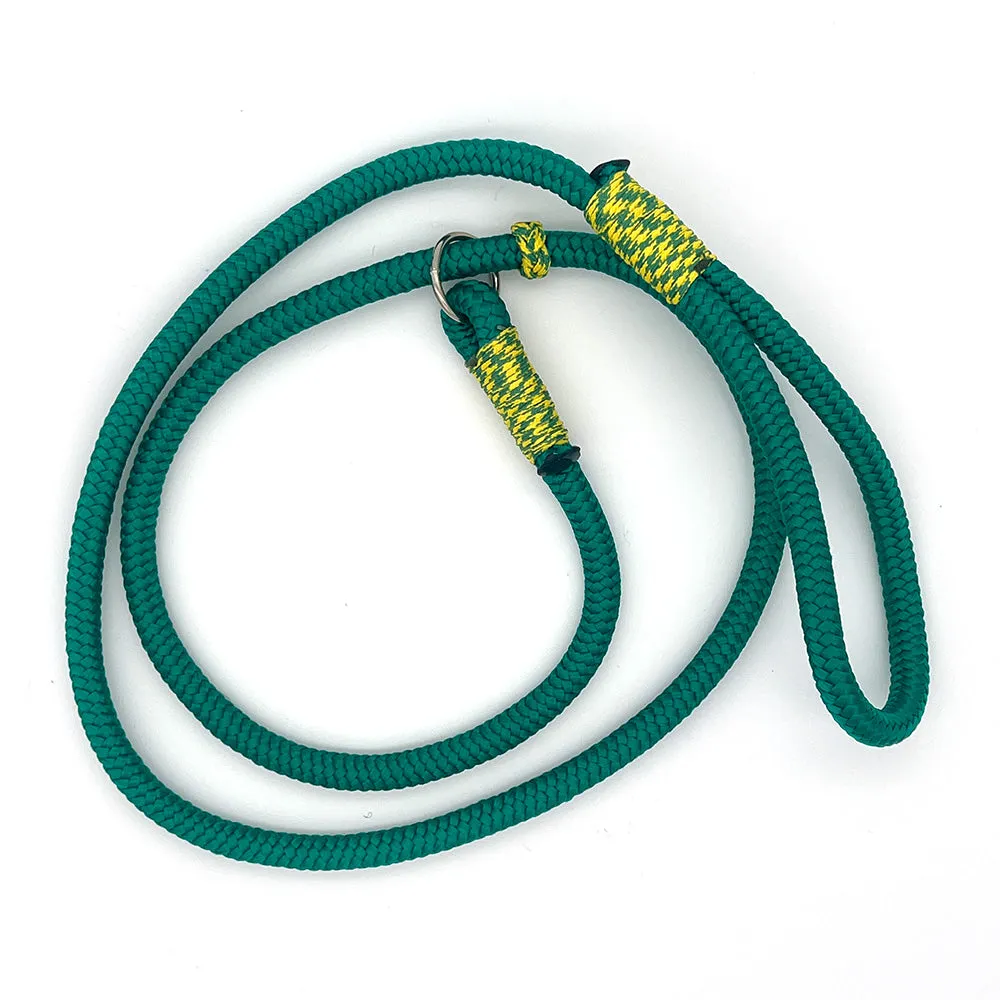 Slip Lead for Dogs Large