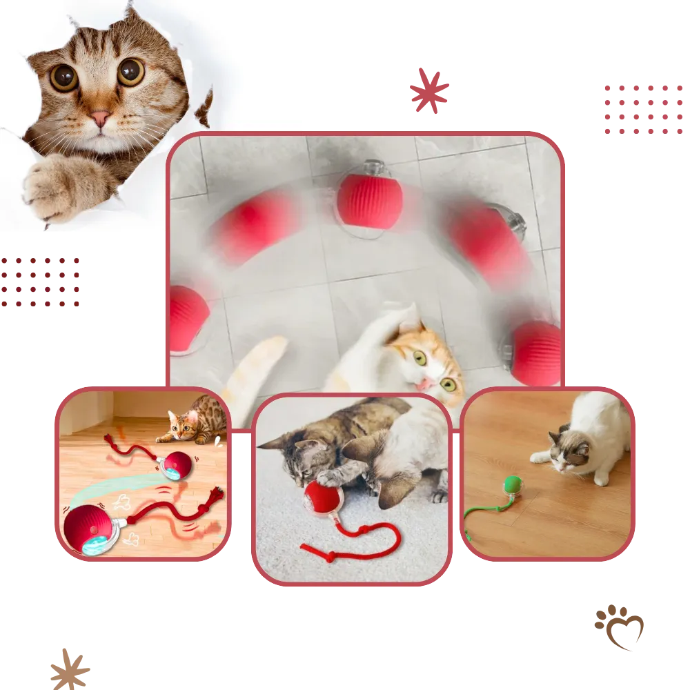 Smart Interactive Cats Ball Toy