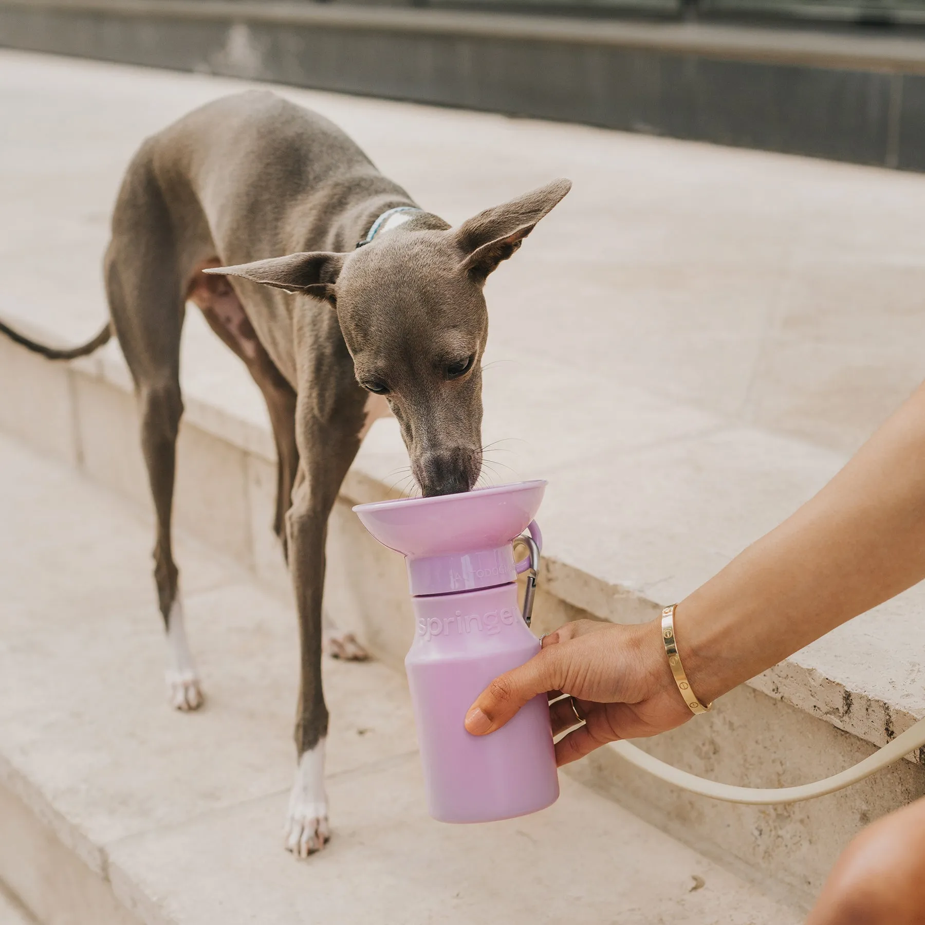 springer mini travel bottle - lilac