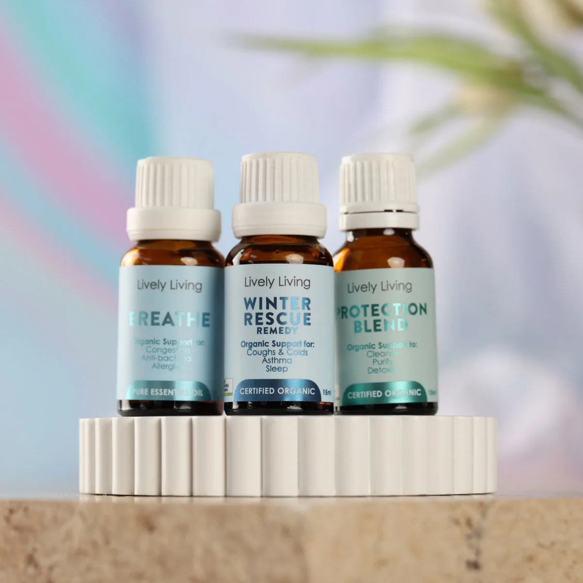 Winter Wellness Essential Oil Bundle 15mls